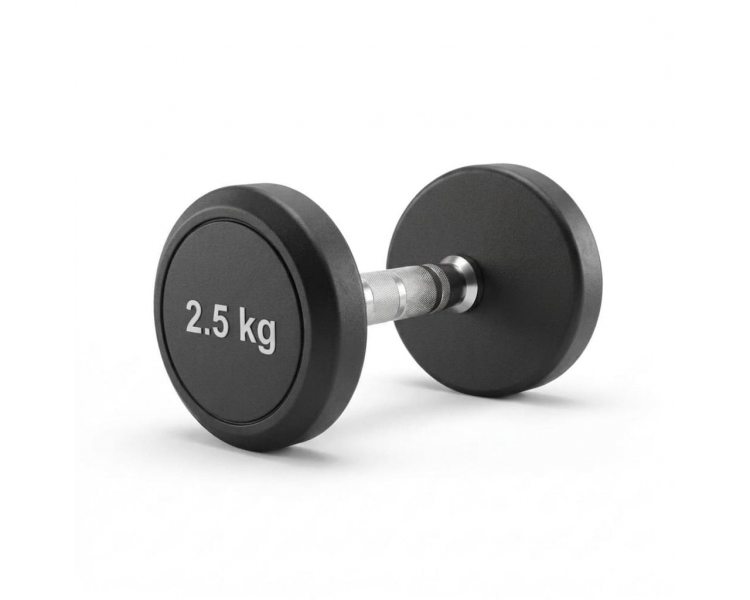 Mancuerna Engomada Rednda 2.5 Kg Proton