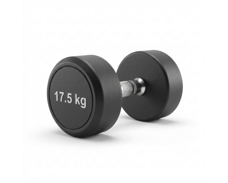 Mancuerna Engomada Redonda 17.5 Kg Proton