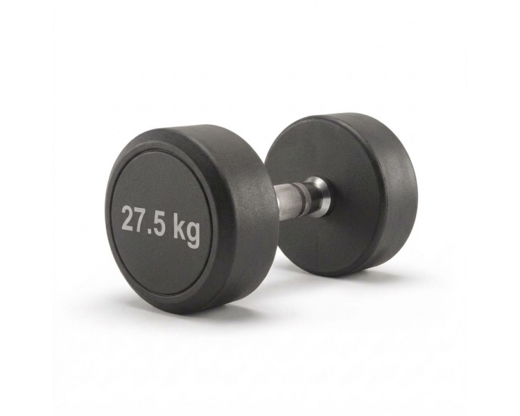 Mancuerna Engomada Redonda 27.5 Kg Proton