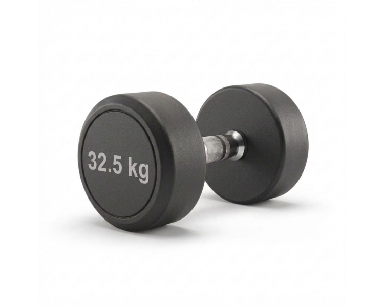 Mancuerna Engomada Redonda 32.5 Kg Proton