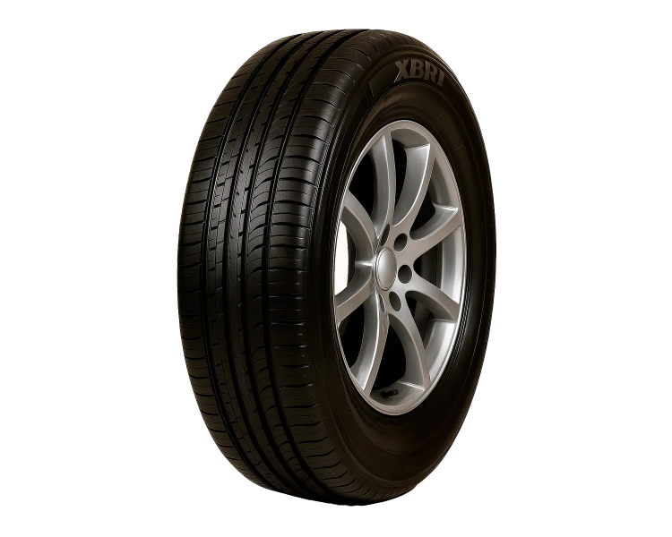 Neumático 205/55r16 91v Fastway C2 Xbri