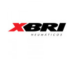 XBRI